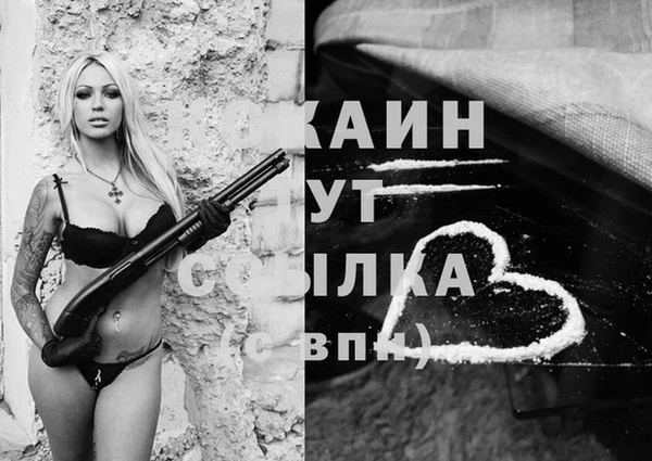 кокаин Богданович