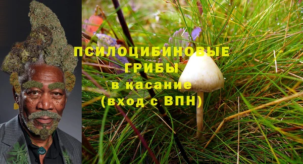 apvp Богородск