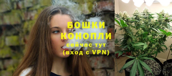 apvp Богородск
