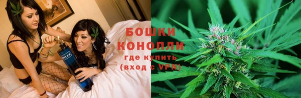кокаин Богданович